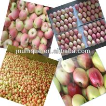 2013 Fresh sweet apple fruit,gala apple