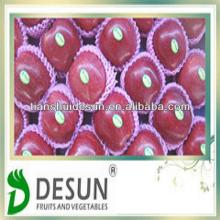sweet red Tianshui  vitamins  and  minerals  fresh huaniu apple