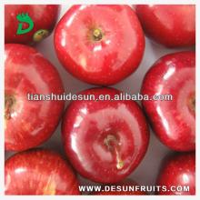 new crop chinese 2013 fresh red delicous sweet crispy minerals Tianshui huaniu apple