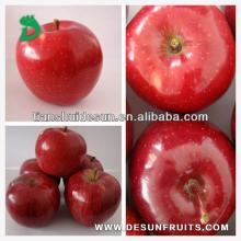 new crop chinese 2013 fresh red delicous sweet crispy vitamin and minerals Tianshui huaniu apple