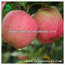 new season 2013 fresh red delicous sweet crispy vitamin and minerals Tianshui huaniu apple
