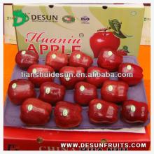 supplier 2013 fresh red delicous sweet crispy vitamin and minerals Tianshui huaniu apple