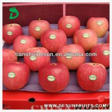 sell 2013 fresh red delicous sweet crispy vitamin Tianshui huaniu apple