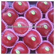 chinese fresh red delicous sweet crispy minerals Tianshui huaniu apple