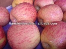 red delicious apple