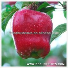 sell chinese 2013 fresh red delicous sweet crispy vitamin and minerals Tianshui huaniu apple