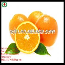 Honey Orange