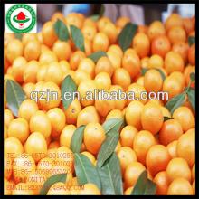 honey mandarin orange