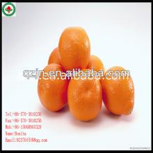 Sugar Mandarin Oranges