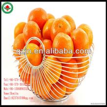  Sweet   Navel   Orange 