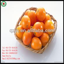 mandarine oranges