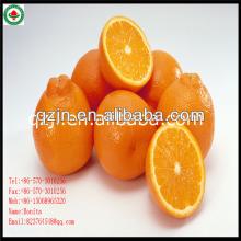 Chinese Mandarin Orange