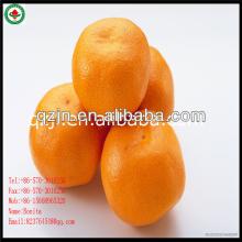  Nanfeng   Mandarin   Orange 