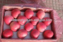 32# qinguan apple fresh apple