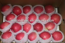 56-72 gansu qinguan apple