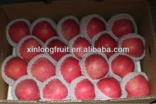 80#-100# red qinguan apple