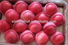 113#-138# red qinguan apple