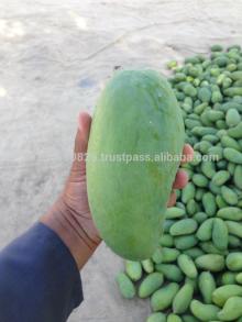  FRESH   MANGO ES