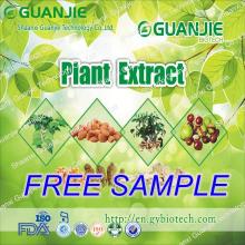 ISO Manufacturer Wholesale Black Tea extract Price