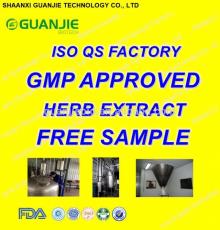 GMP ISO Approved 100% Natural GREEN TEA LEAF PE DECAFFEINATE Supplier