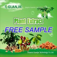 High Quality Nature GREEN TEA LEAF POWDER