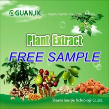 High Quality Best Price GREEN TEA LEAF POWDER