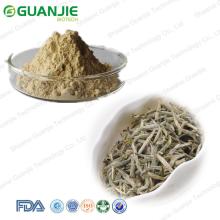 High Quality Natural White Tea Extract Powder