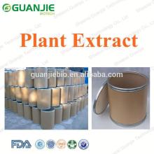 100% natural  oolong   tea   extract   powder 