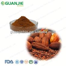 High Quality Cocoa Bean Extract Manufacturer