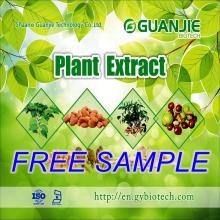 ISO Manufacturer  Wholesale   Cocoa  extract