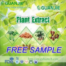 High Quality Organic Aloe A Vera extract