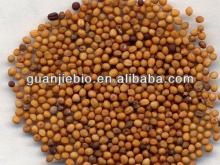 Aloe Vera Extract Aloe Emodin