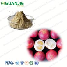 Best Price Natural Water Soluble Freeze Dried Camu Powder