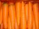 Fresh Carrots for sale