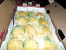 Mangos of First Class