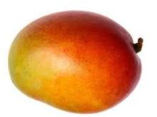 Mangos for sale