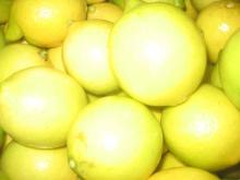Fresh lemon at attractive prices