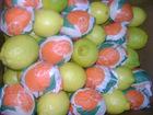 Fresh Lemon FOR SaLe