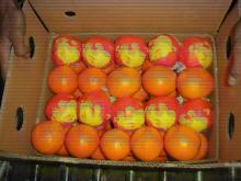 Egyptian Orange