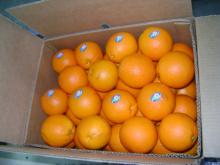 Fresh Egyptian Orange