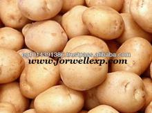 Fresh Spunta Potatoes