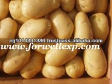 Fresh Spuntta Potato