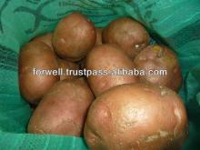 Fresh Potato price 2013