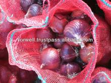 fresh red onion ( crops 2013)