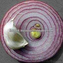 Onion ( Yellow - Red - White - Gold )