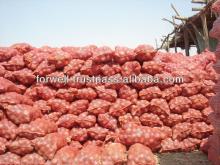  Fresh  Yellow  Onion  ( different sizes & packing )