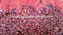 Onion ( Yellow - red - white ) crops 2014