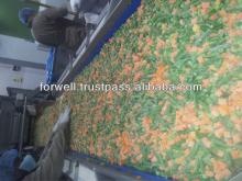 Frozen Mix Vegetables ( Frozen Beas - peas- Carrots ......)