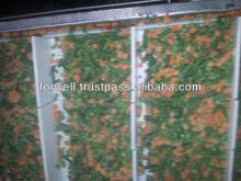 IQF MIX VEGETABLES ( Frozen Beas - peas- Carrots ...)