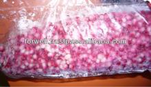iqf pomegranate ( Grade A & B )